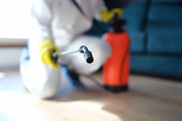 Professional Mold Removal in Shippensburg, PA